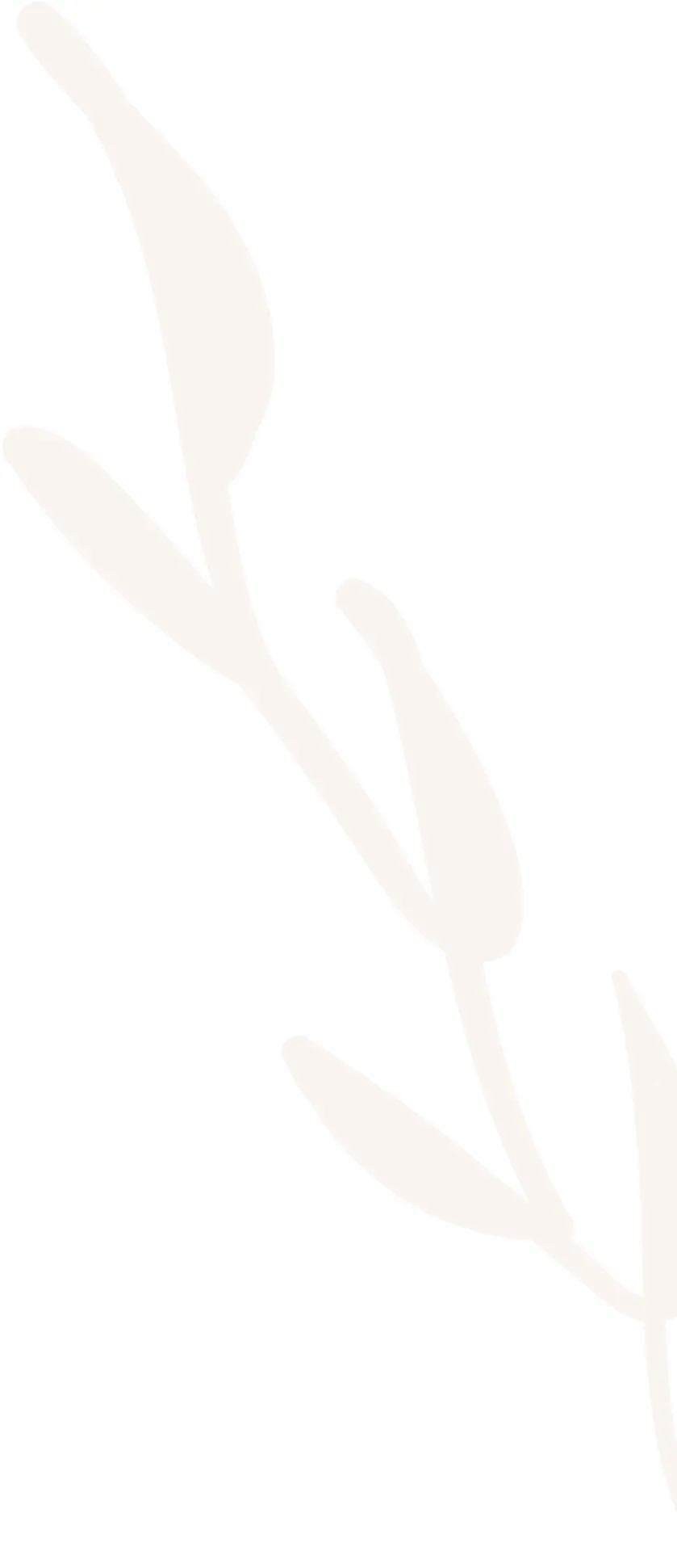 Decorative Background